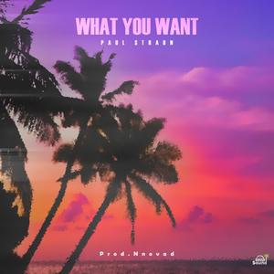 What You Want (Explicit)