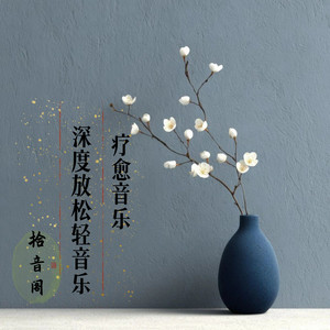 知心丨疗愈音乐 深度放松轻音乐