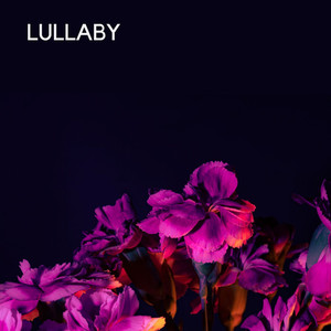 Lullaby