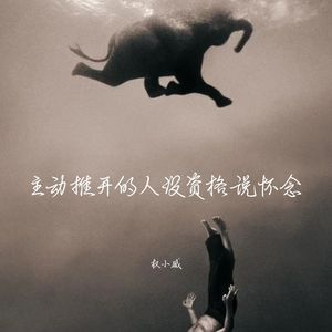 权小威 - 我的歌声里 (DJ停顿感版)