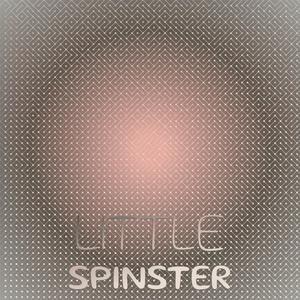 Little Spinster