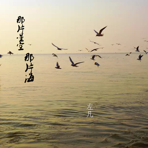 那片星空 那片海 (柔情版)