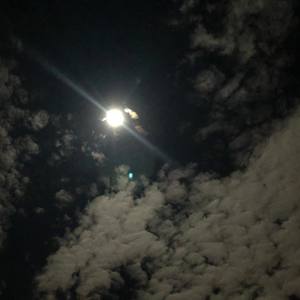 Star of the County Down