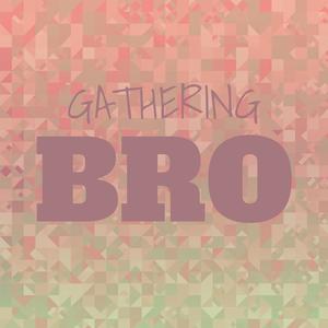 Gathering Bro