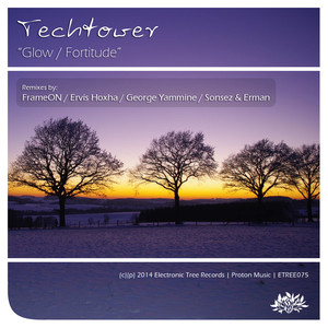 Fortitude (Sonsez & Erman Remix)