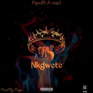 Nkgwete (feat. A-Roar) (Radio Edit)