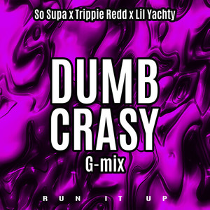 Dumb Crasy (G-Mix|Explicit)