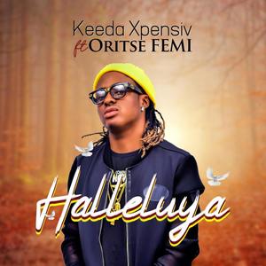 Halleluya (feat. Oritsefemi)