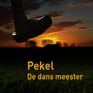 De dans meester