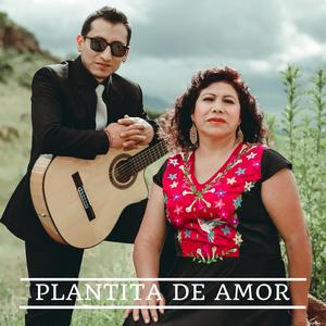 PLANTITA DE AMOR (feat. Sila Illanes)