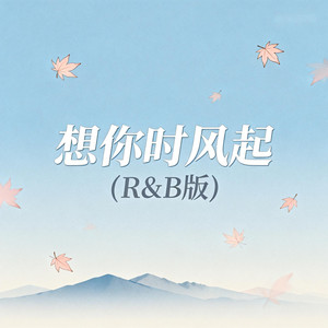 想你时风起 (R&B版)封面