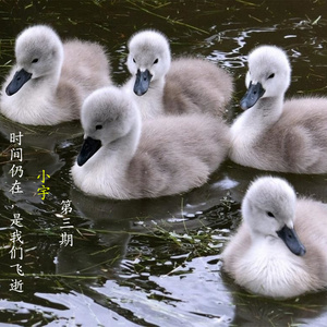 瞄着你就爱 (美文版)封面