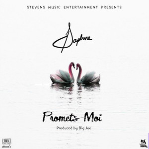 Promets Moi (single)