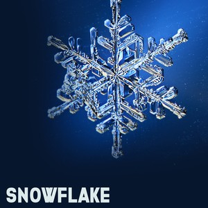 Snowflake