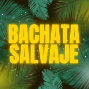 Bachata salvaje