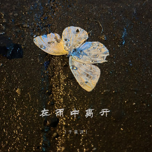 在雨中离开