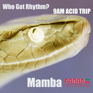 9AM acid trip / Who got the rythm