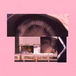 Life Cycles (Explicit)