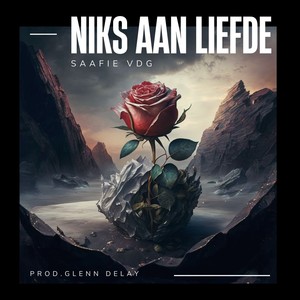 Niks Aan Liefde (Explicit)