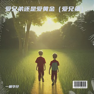爱兄弟还是爱黄金 (爱兄弟)封面