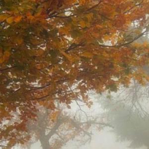 a*hole (feat. Freexe) (Explicit)