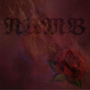 Numb (hyperpop remix)