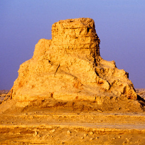 我的楼兰 (DJ圈圈菌版)