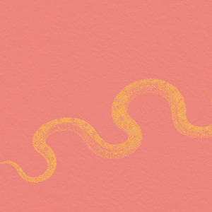 The Tale of the Rattlesnake, Part 2