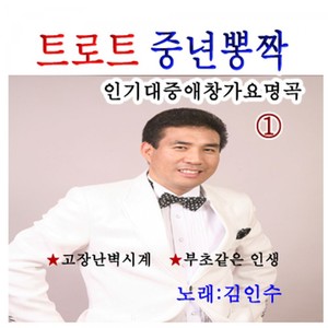 트로트 중년 뽕짝 인기대중애창가요 명곡 1