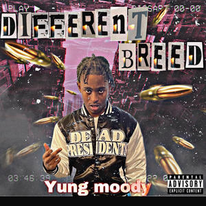 Different breed (Explicit)