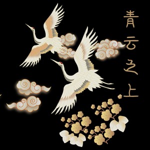 青云之上 - 化十封面