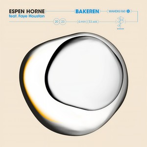 Bakeren (feat. Faye Houston)