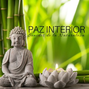 Paz Interior: Paz Interior, Sonidos de la Naturaleza, Sentimiento Positivo, Música Relajante Instrumental