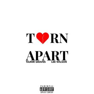 Torn Apart (feat. leelo blue) [Explicit]