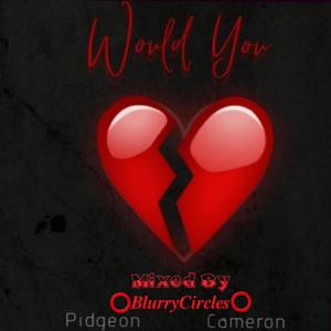 Would You (feat. Cameron, BlurryCircles & Salah Beats)