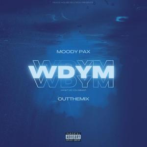WDYM (WHAT DO YOU MEAN) (feat. OUTTHEMIX) (Explicit)