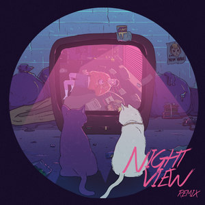 Night View(feat. T.I.G 铁巨人) (Remix)
