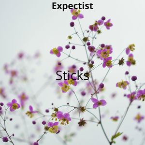 Sticks