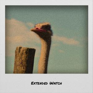 Extended Watch