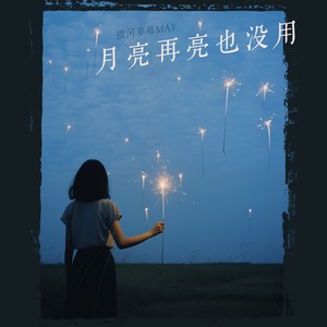 月亮再亮也没用