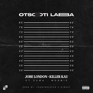 Otsotsi Laba