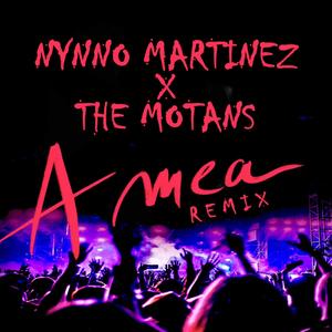 A mea (feat. The Motans) (Remix)