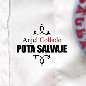 Pota Salvaje (feat. Mk Project)