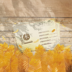 未寄出的信 (COVER版)