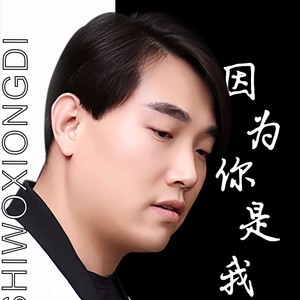 因为你是我兄弟