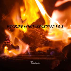 VERBLIND IN HET LEVEN (part 2) (Explicit)