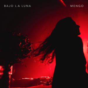 Bajo La Luna