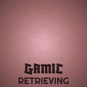 Gamic Retrieving