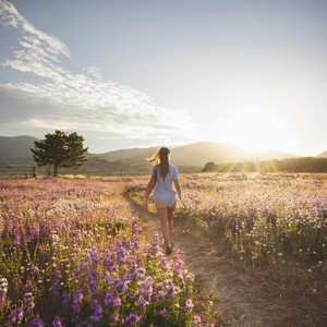 Relaja una ola - Melodías Pacíficas Para La Tarde