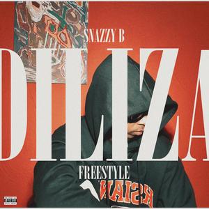 DILIZA FREESTYLE